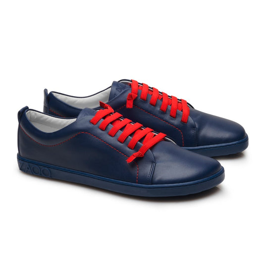 STIQ Navy